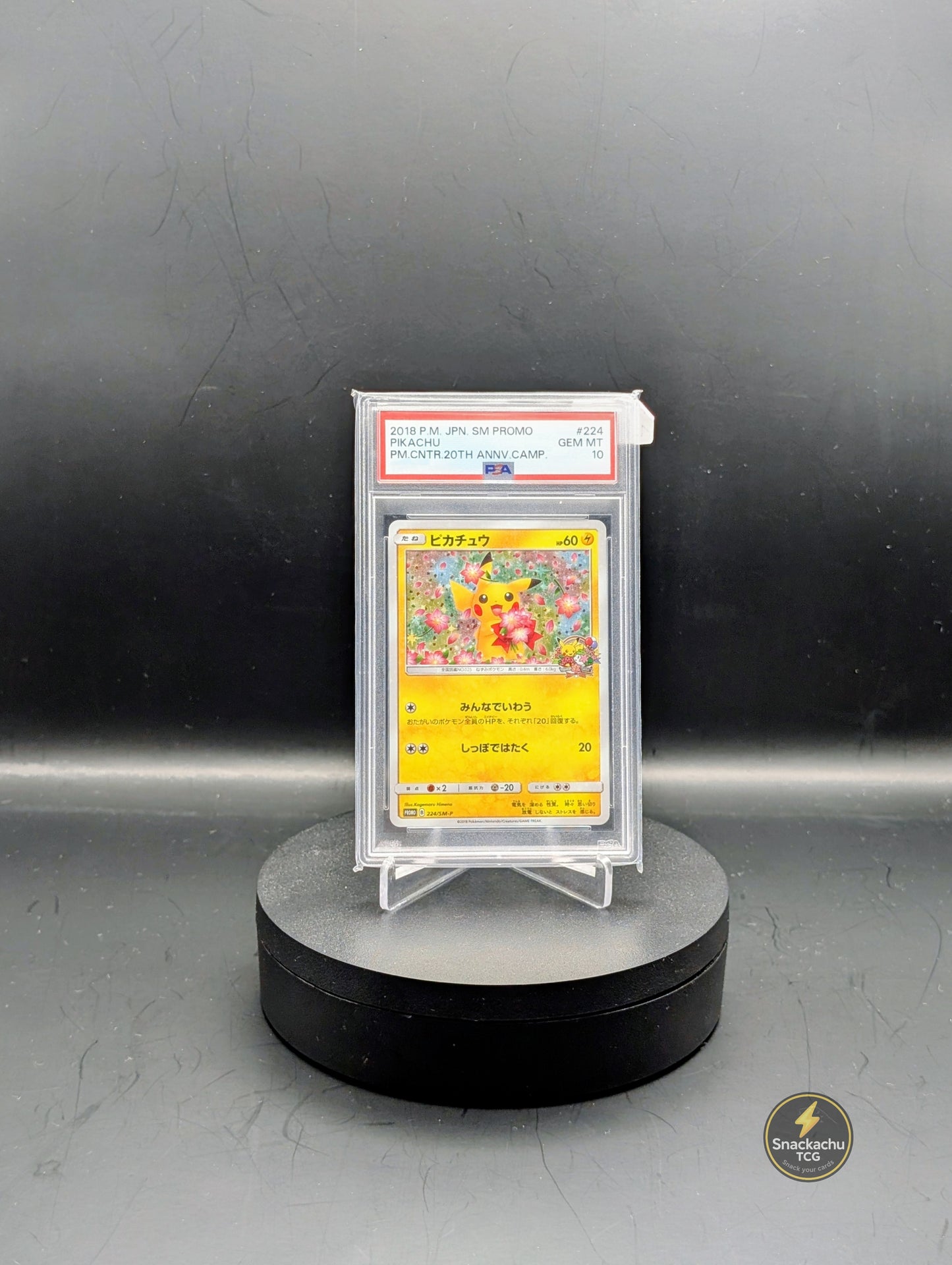 Pokemon PSA 10 Pikachu 224/SM-P Japanisch | Pokemon Center 20th Anniversary Campaign